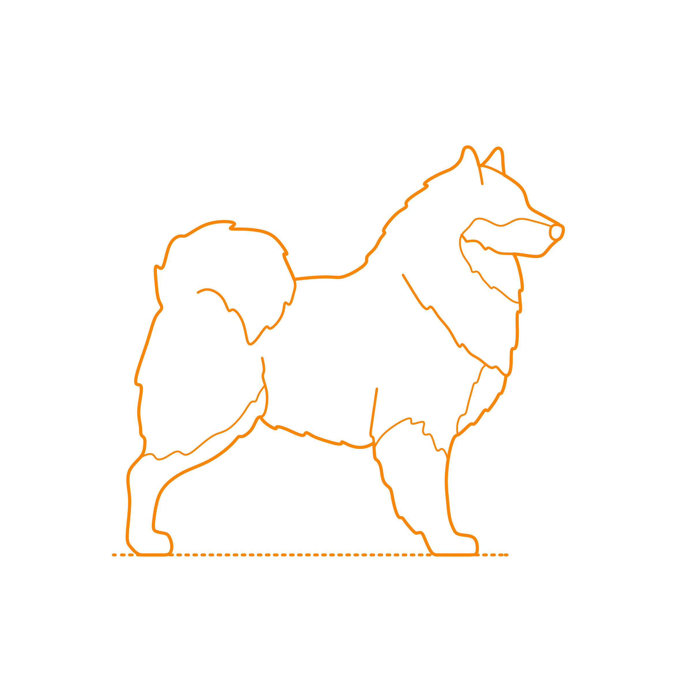 Animals Dogs Finnish Lapphund Outline Icon Svg Set Free Vectors
